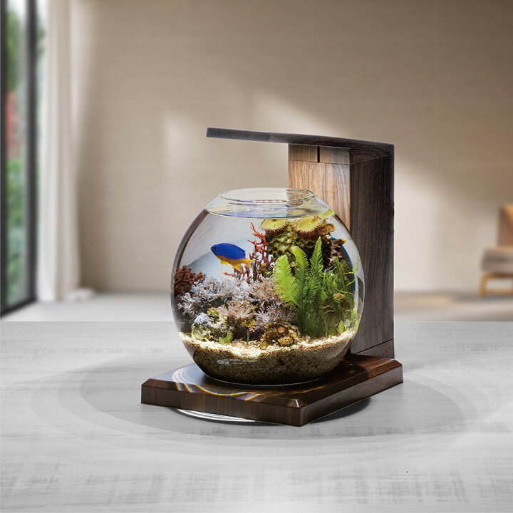 楽天市場】GEX 水槽セット グラスアクア PERCO B−Dark  