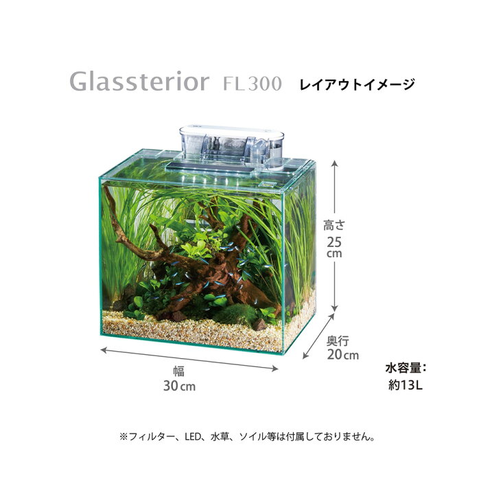楽天市場】GEX グラステリアFL300 ガラス水槽 30×20 
