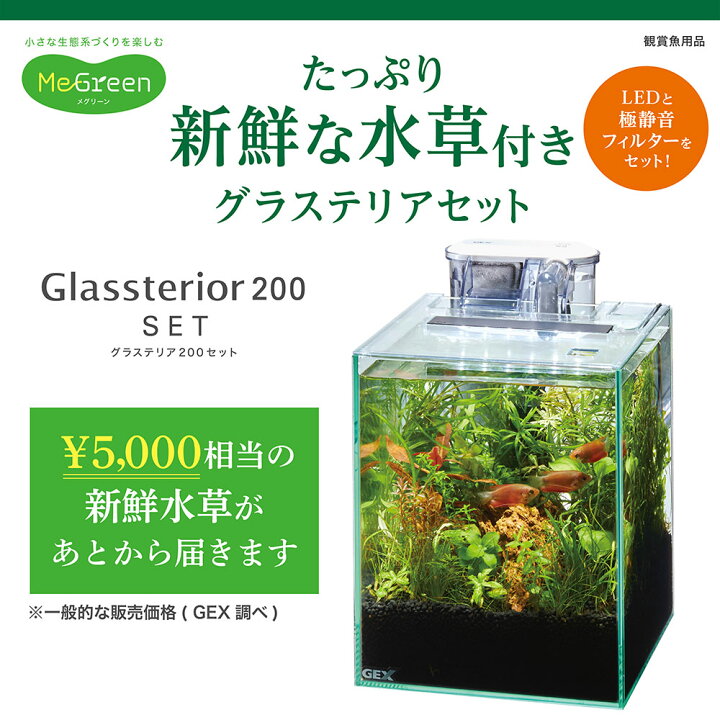楽天市場】GEX 水槽セット MeGreen 新鮮な水草付き グラス 