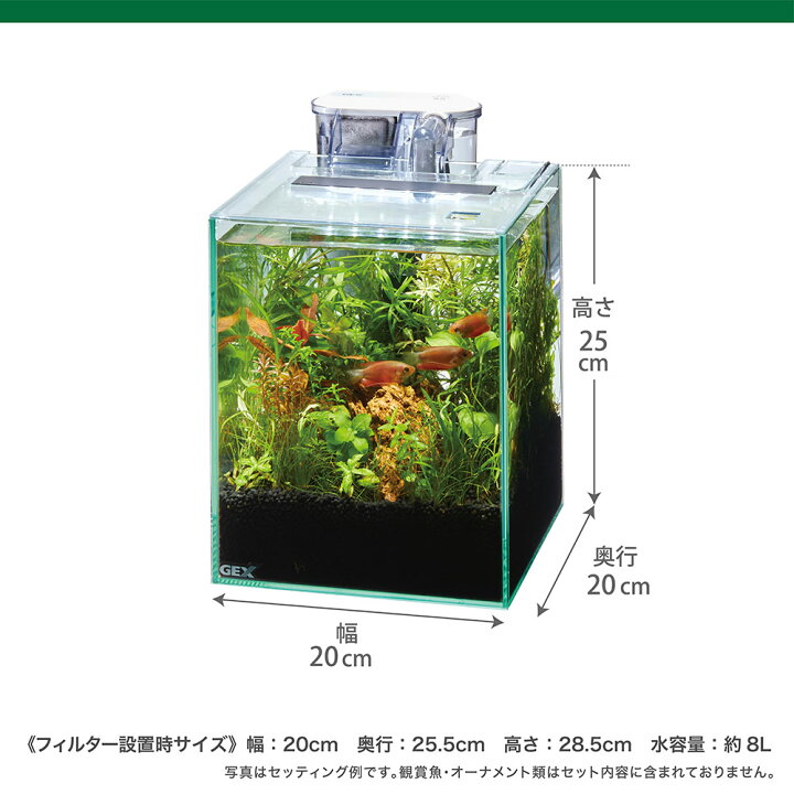 楽天市場】GEX 水槽セット MeGreen 新鮮な水草付き グラス 