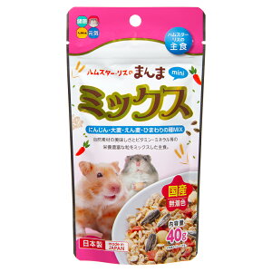 nCybg@nX^[EX̂܂܁@~j@~bNX@40g@H@t[h@a@nX^[@֓