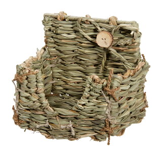 nCybg@Zsumi|CA@I[cwCptB[_[@@``@bg@q@֓