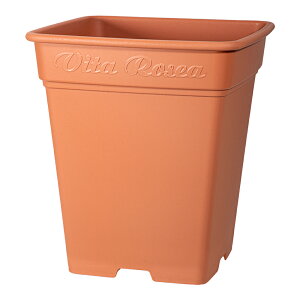 v^[@AbvEFA[@[AXNGA@330^@uE@Aؔ@XNGA@֓