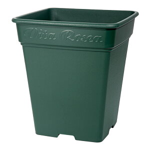 v^[@AbvEFA[@[AXNGA@390^@O[@Aؔ@XNGA@֓