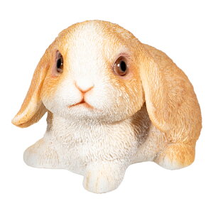 AEgbgi@AJEt@W[bv@I[ig@IuWF@K[fjO@󂠂@֓