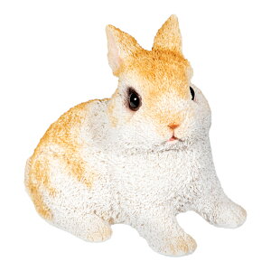 AEgbgi@EԂ@I[ig@IuWF@K[fjO@󂠂@֓