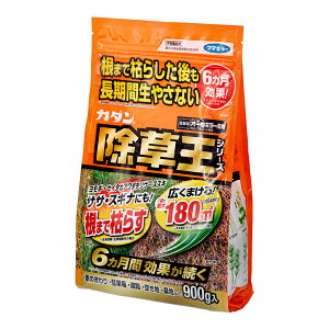 t}L[@J_@@I[L[܁@900g@܁@6ʂ@TT@XMi@֓