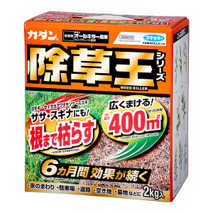 t}L[@J_@@I[L[܁@2kg@܁@6ʂ@TT@XMi@֓