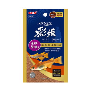 GEX@_JC@ʕP@YEɐBp@40g@߂@a@t[h@nDE@֓