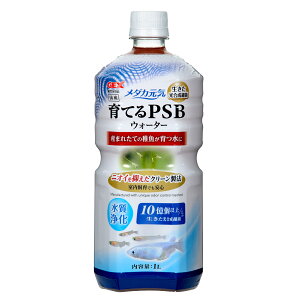 GEX@_JC@ĂPSBEH[^[@1L@jICȂ@@߂@t@֓