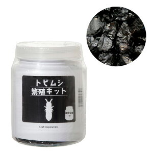 iajgrVspD1Jbv@etZbg@{Bl