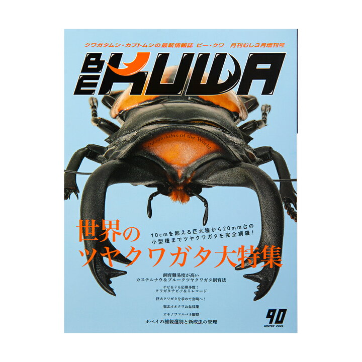 楽天市場】ビークワ BE−KUWA 90 （2024） 世界のツヤ 