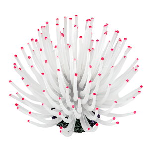 [XC@ZEST@vJTS@M|12@zCgsN@֓