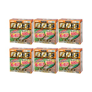 t}L[@J_@@I[L[܁@3kg×6@܁@6ʂ@TT@XMi@֓