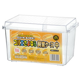コバエさよなら飼育ケース　中　関東当日便