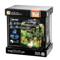 楽天市場】小型（水槽セット｜水槽・アクアリウム）：熱帯魚 