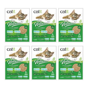 L@Catit@Ђ̂̏LoCIvX@7L×6@֓