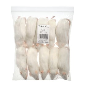 冷凍★SPFマウス　アダルトマウスXL（10匹）　（約11cm・41〜45g）　冷凍マウス　高品質　別途クール手数料　常温商品同梱不可