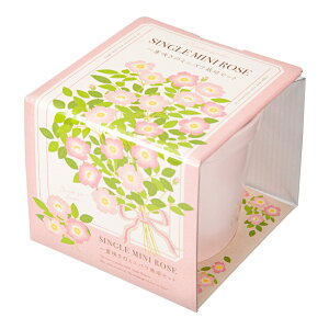 聖新陶芸 Thanks GARDEN ミニバラ 栽培セット 家庭菜園 ギフト 関東当日便