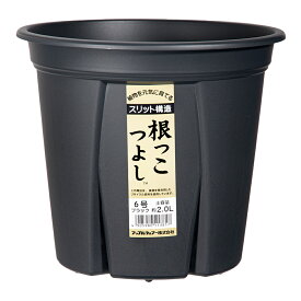 スリット鉢　アップルウェアー　根っこつよし　6号　ブラック　植木鉢　黒　関東当日便