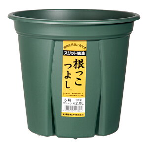 Xbg@AbvEFA[@悵@6@O[@Aؔ@֓