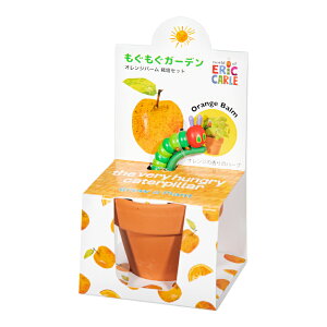 AEgbgi@V|@͂؂ނ@K[f͔|Zbg@IWo[@ƒ؉@Mtg@󂠂@֓