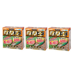 t}L[@J_@@I[L[܁@3kg×3@܁@6ʂ@TT@XMi@֓