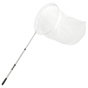 G[@RpNgߒ}X^[iזځj@ԁ@̏W@֓