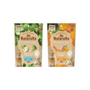 }J@i`nt[YhCV[Y@؁@2e1܁@@nX^[@@֓