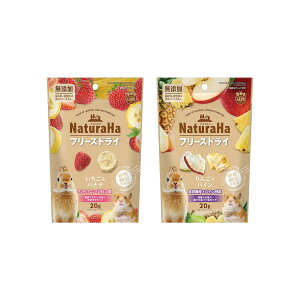 }J@t[YhCV[Y@t[c@2e1܁@@nX^[@@֓