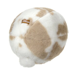 ~jAj}@ꎨ̂{[@@@֓