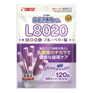 ゴン太の歯磨き専用ガム SSサイズ L8020乳酸菌入り ブルーベリー味 120g 関東当日便