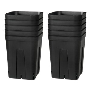 vXe@150[^@@10Zbg@Xbg@֓