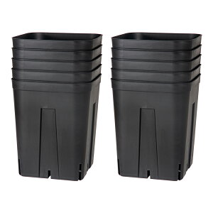 vXe@180^@@[^@10Zbg@Xbg@֓