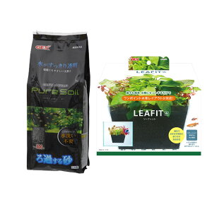 GEX@sA\C@ubN@800g[tBbg@W@16×8×10D5cm@֓