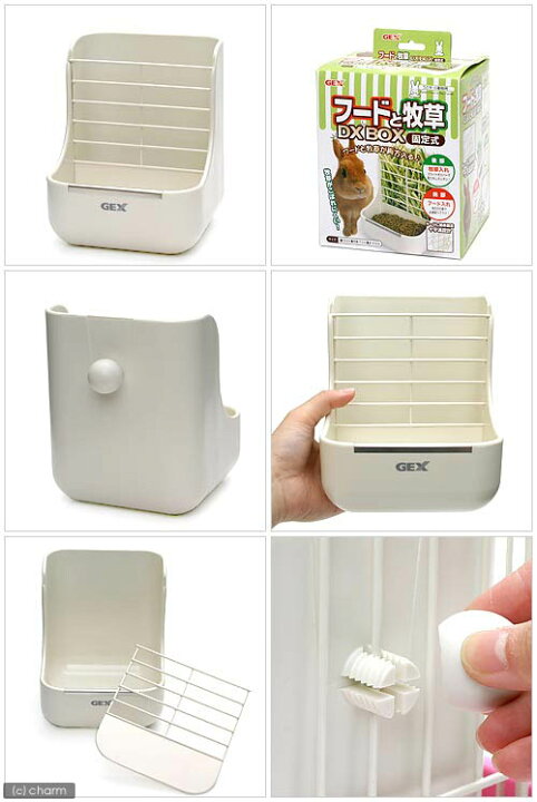 楽天市場】GEX うさぎの基本飼育セット 関東当日便 : charm 楽天市場店