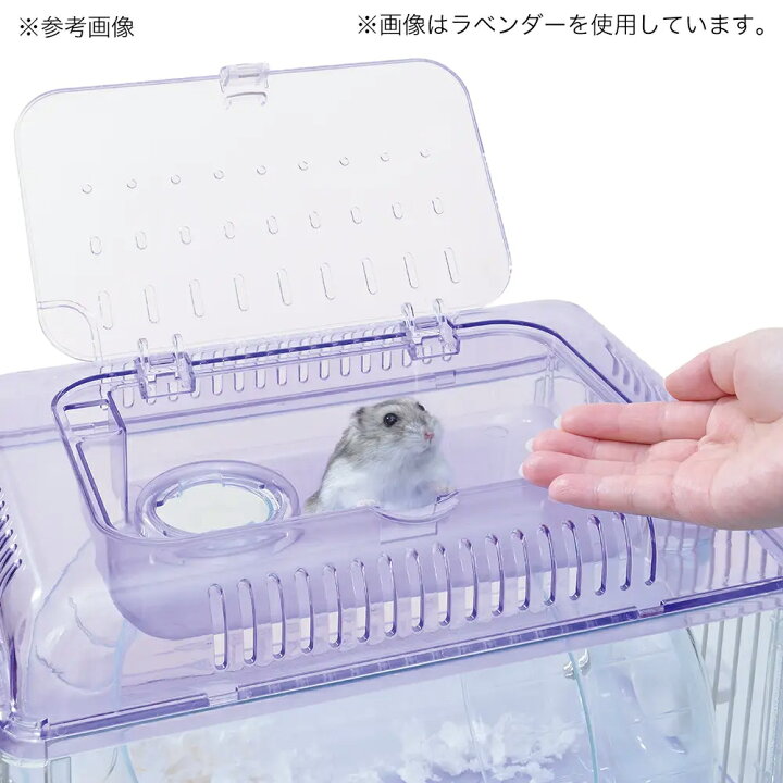 楽天市場】GEX クリアフロント30飼育セット（ケージ＆敷材＆給水 