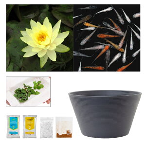 irIg[vji߂j_JtI`[߃rIg[vZbgI@Ci[Cg@XC@rIg[v@{Bl