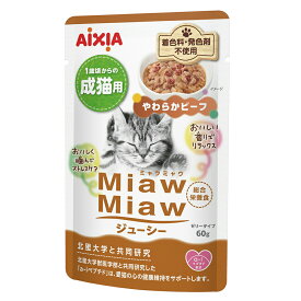 アイシア　ミャウミャウジューシー　やわらかビーフ　60g×12　関東当日便