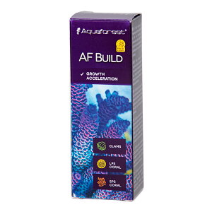 �A�N�A�t�H���X�g�@AF�@Build�iCoral�@B�j�@10ml�@�֓�������