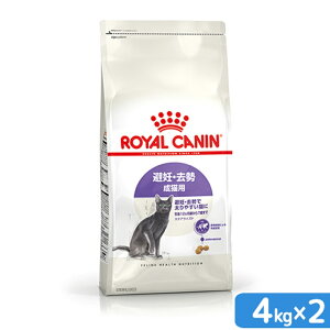 CJi@L@DE@Lp@FHN@XeACYh@4kg×2܁@127΂܂Ł@Wbvt@ll2_