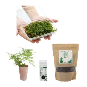 iR쑐jۋʍ쐬Lbg@gLVmu