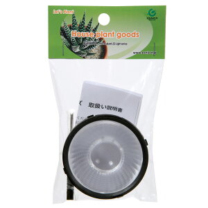 {NXWp@ʌ@X24@pY@i[@֓