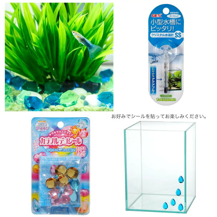 楽天市場】（熱帯魚）飼育セット グッピーセット guy〜水 