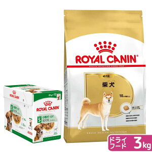 CJi@Čp@Zbgi10Jȏj@hC@3kg@{@~j@A_g@85g×12܁@Wbvt@ll5_@֓