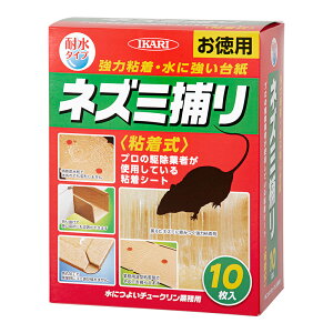 CJŁ@ɂ悢`[NƖp@10@֓