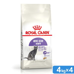 CJi@L@DE@Lp@FHN@XeACYh@4kg×4@127΂܂Ł@Wbvt@ll1_