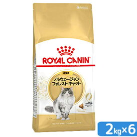 ロイヤルカナン　猫　ノルウェージャン　フォレスト　キャット　成猫用　2kg×6　ジップ付（キャットフード　ドライ）　お一人様1点限り