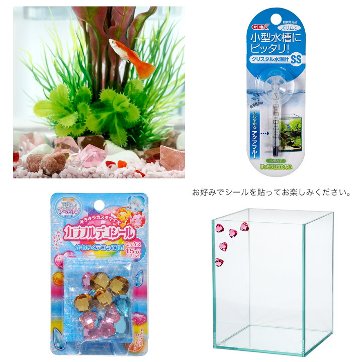 楽天市場】（熱帯魚）飼育セット グッピーセット guy〜炎〜 おまけ 