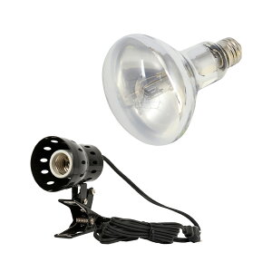 OW@REPTIZOO@X[p[TUV@100W@{@NbvvX^h@঒ށ@O@֓